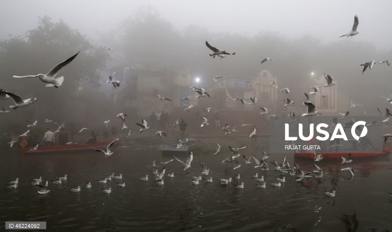 Delhi vai aplicar a política «Sem PUC, sem combustível» para combater a poluição atmosférica