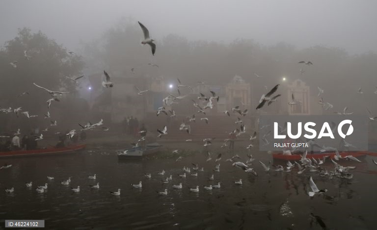 Delhi vai aplicar a política «Sem PUC, sem combustível» para combater a poluição atmosférica