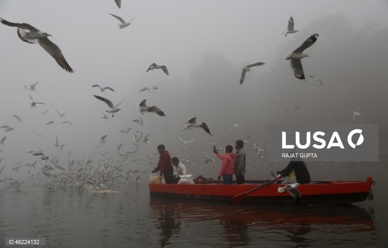 Delhi vai aplicar a política «Sem PUC, sem combustível» para combater a poluição atmosférica