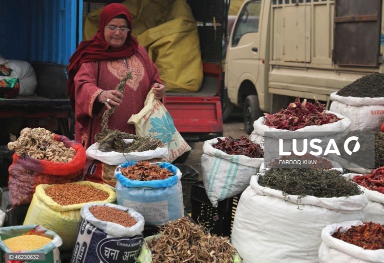 Índia: Quotidiano em Srinagar, Caxemira