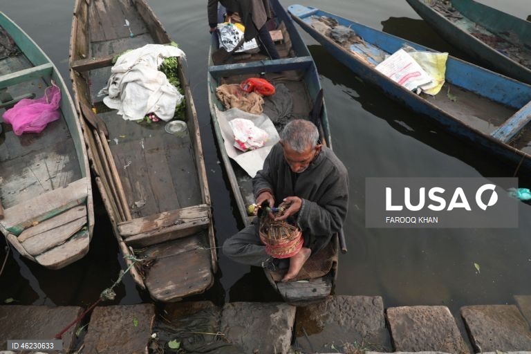 Índia: Quotidiano em Srinagar, Caxemira