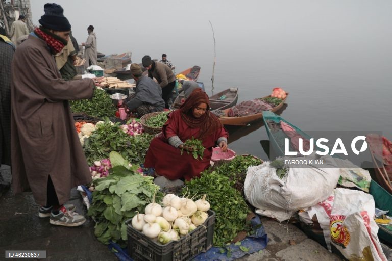 Índia: Quotidiano em Srinagar, Caxemira