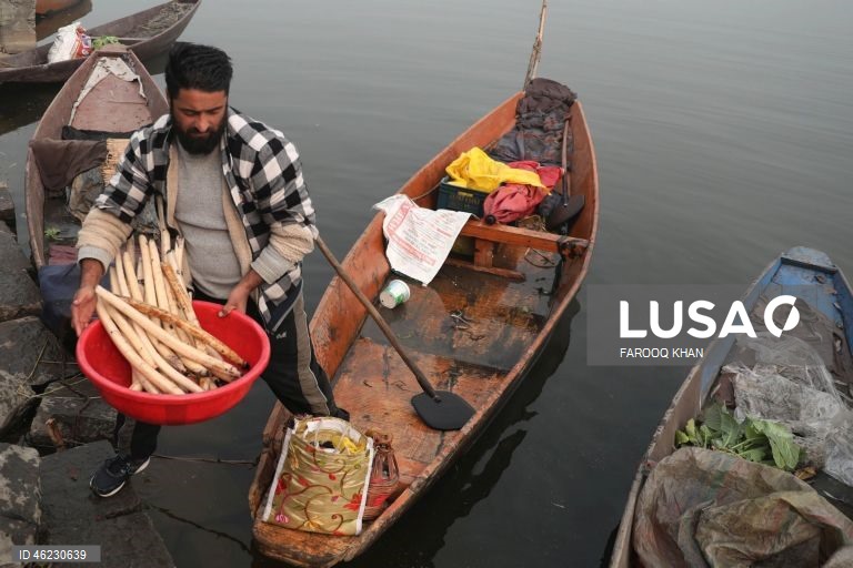 Índia: Quotidiano em Srinagar, Caxemira