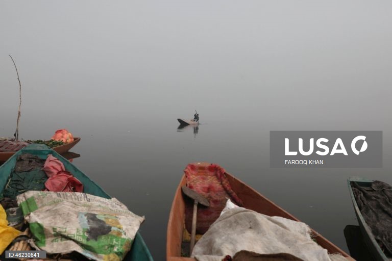 Índia: Quotidiano em Srinagar, Caxemira