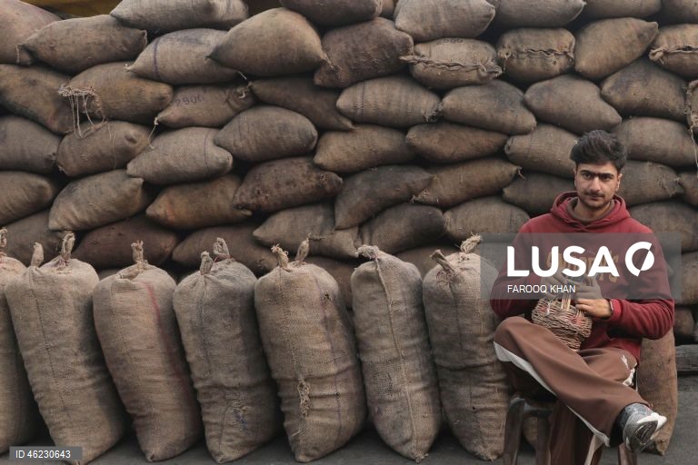 Índia: Quotidiano em Srinagar, Caxemira