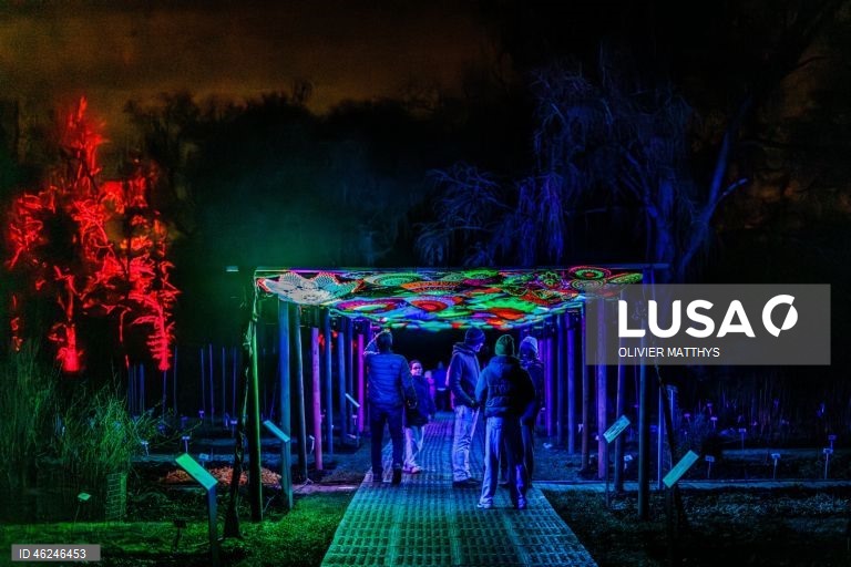 Festival de luzes Winter Floridylle no Jardim Botânico de Meise, em Meise, Bélgica. O festival de luzes acontece de 18 de dezembro de 2025 a 4 de janeiro de 2026.  