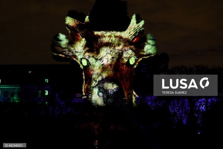 França: Festival de luzes em Paris