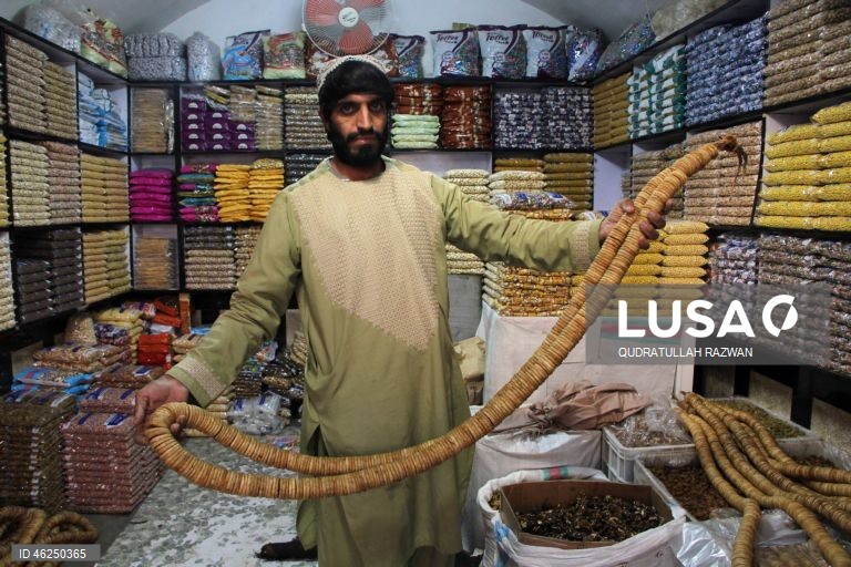 Com o início do inverno, a procura por nozes e frutos secos aumenta, impulsionada pelos hábitos de consumo sazonais. Esse aumento destaca o papel essencial das nozes e frutos secos na dieta durante os meses mais frios do Afeganistão.