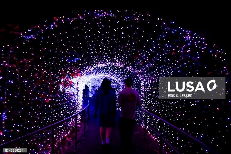 A instalação luminosa «Ice Goddess» é exibida na exposição «Garden Lights, Holiday Nights» do Jardim Botânico de Atlanta, em Atlanta, Geórgia, EUA.