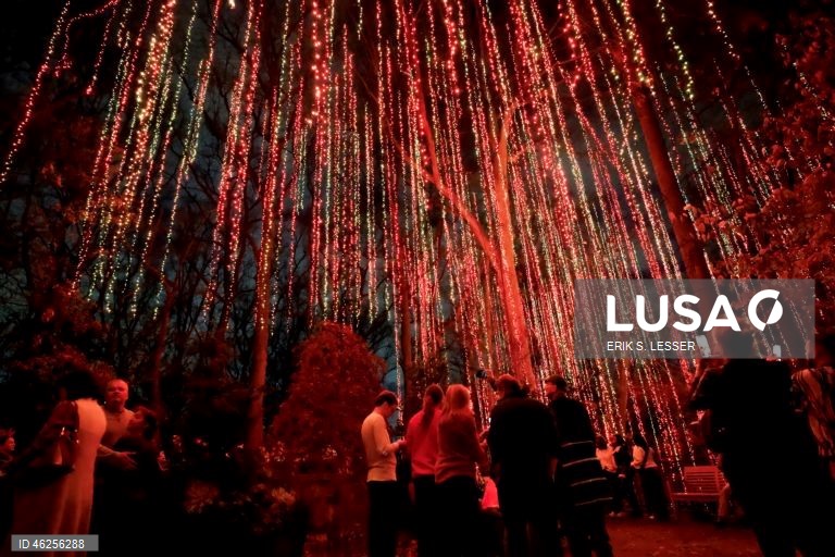 A instalação luminosa «Ice Goddess» é exibida na exposição «Garden Lights, Holiday Nights» do Jardim Botânico de Atlanta, em Atlanta, Geórgia, EUA.