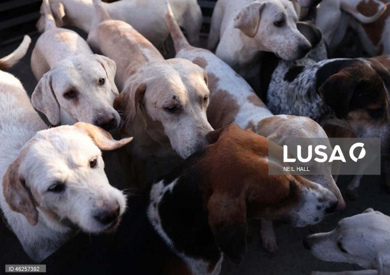 Cavaleiros participam no encontro Old Surrey Burstow e West Kent Boxing Day em Chiddingstone, Grã-Bretanha. A caça com trilhas está prestes a ser proibida na Inglaterra e no País de Gales como parte de uma nova estratégia de bem-estar animal a ser publicada pelo governo do Reino Unido. Desde a proibição da caça à raposa em 2004, caçadas modificadas têm ocorrido usando trilhas perfumadas para os animais seguirem. A caça com cavalos e cães é uma tradição do Boxing Day nas áreas rurais.