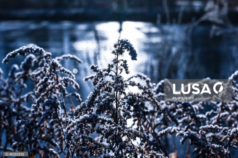 Tempo frio em Berlim.