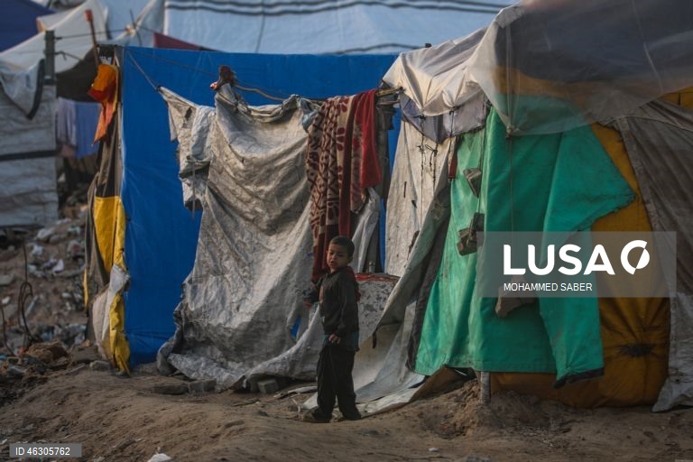 Famílias palestinianas deslocadas na zona oeste da cidade de Gaza