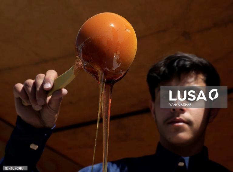 Iémen: Feira de produtos apícolas em Sana