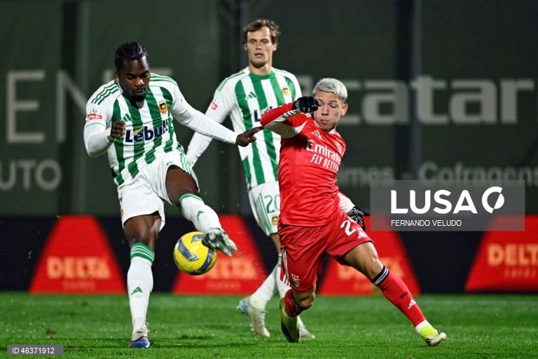 Rio Ave vs Benfica