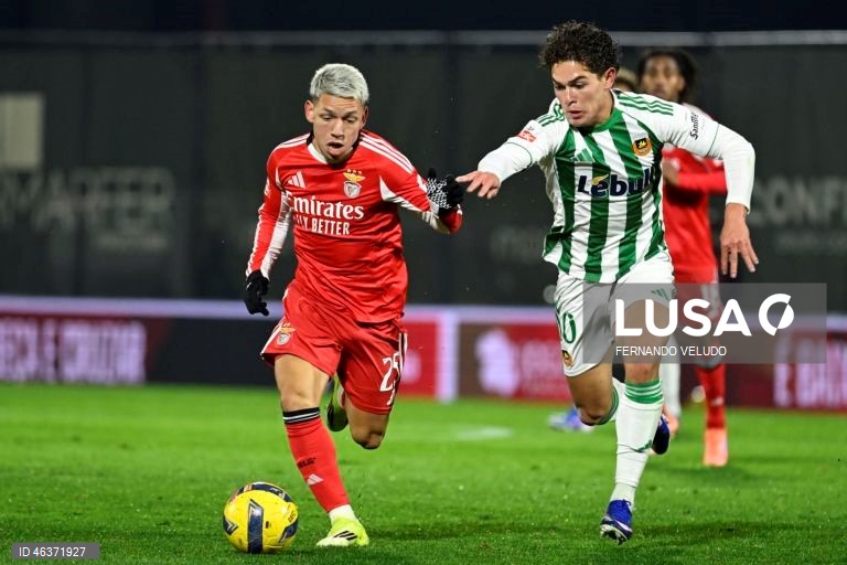 Rio Ave vs Benfica