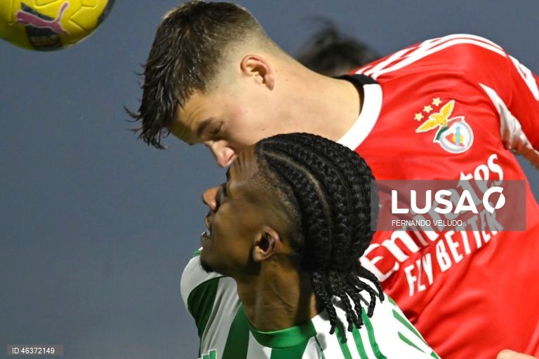 Rio Ave vs Benfica