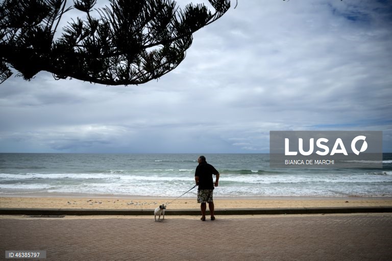 Austrália: Praias fechadas após ataques de tubarões na zona de Sidnei
