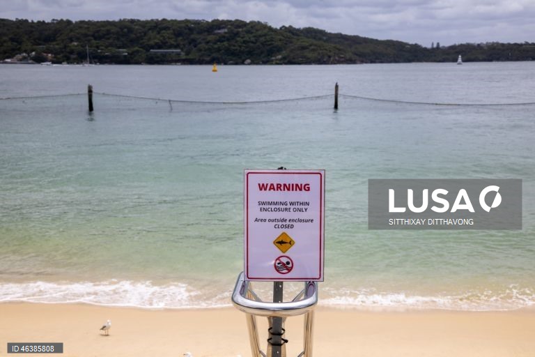 Austrália: Praias fechadas após ataques de tubarões na zona de Sidnei