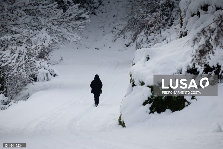 A aldeia do Castelo acordou pintada de branco devido à passagem da depressão Ingrid, no concelho de Vila Pouca de Aguiar, distrito de Vila Real, 24 de janeiro de 2026.  PEDRO SARMENTO COSTA/LUSA