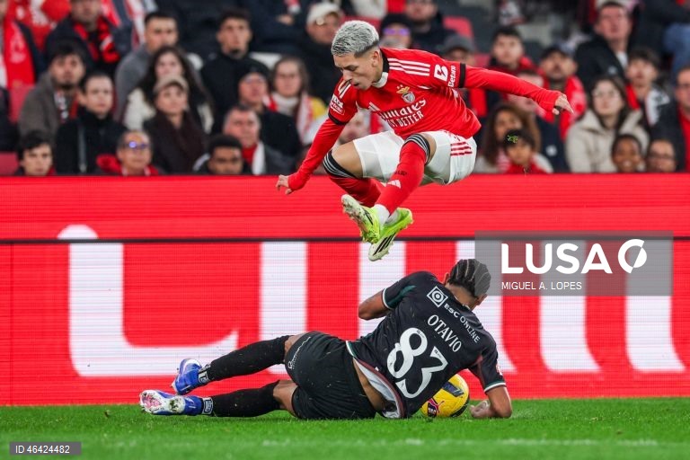 I Liga: Benfica vs Estrela da Amadora
