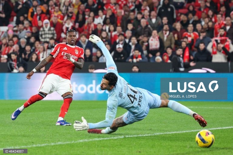 I Liga: Benfica vs Estrela da Amadora