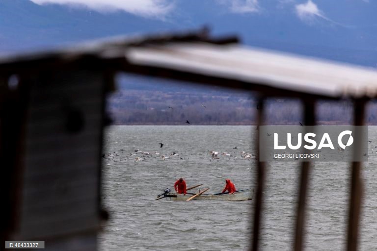Macedónia do Norte: Lago Dojran