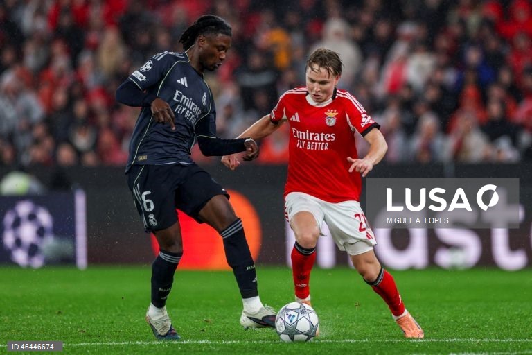 Um golo do guarda-redes Trubin, aos 90+8 minutos, qualificou hoje o Benfica para o play-off de acesso aos oitavos de final da Liga dos Campeões de futebol, garantindo um triunfo por 4-2 sobre o Real Madrid.