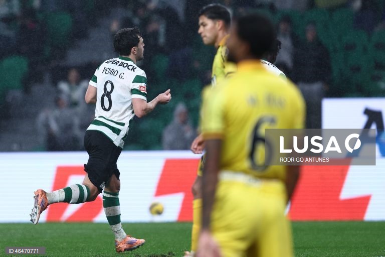 O Sporting colocou-se hoje, provisoriamente, a quatro pontos do líder FC Porto, ao vencer em casa o Nacional por 2-1, em encontro da 20.ª jornada, para o terceiro triunfo consecutivo nos descontos em todas as provas.