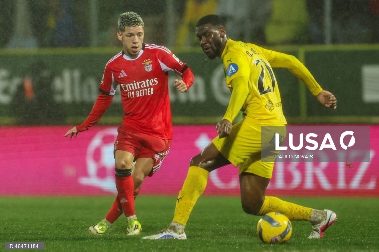 O Benfica, ainda invicto, cedeu hoje o sétimo empate na edição 2025/26 da I Liga portuguesa de futebol, ao ficar-se por um ‘nulo’ em Tondela, em encontro da 20.ª jornada da prova.