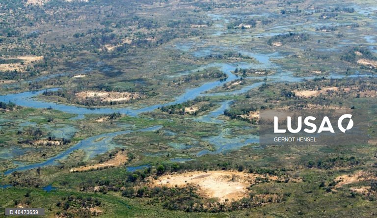 Dia Mundial das Zonas Húmidas