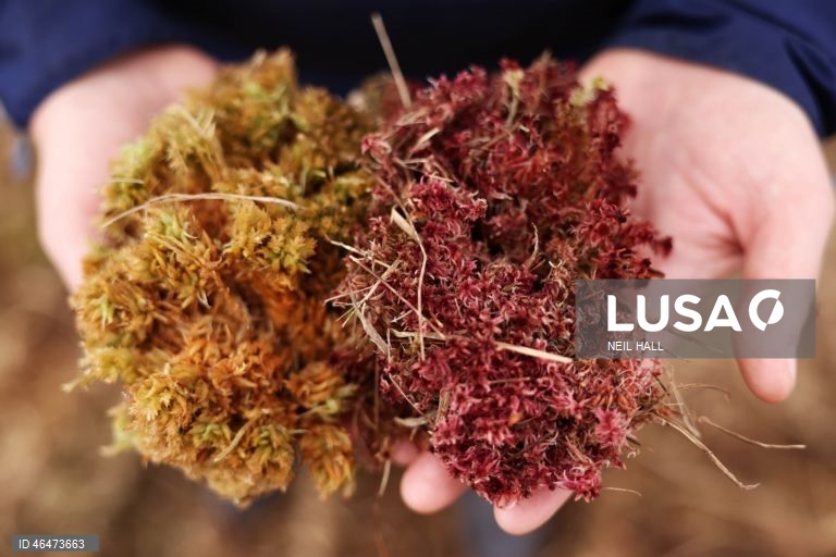 Dia Mundial das Zonas Húmidas