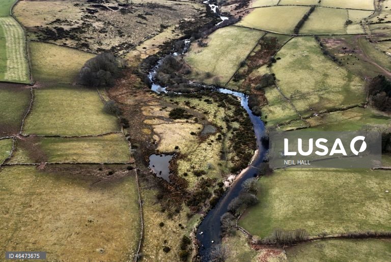 Dia Mundial das Zonas Húmidas