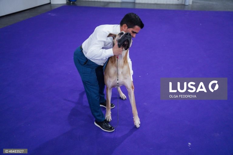 EUA: 150º Show Canino de Westminster Kennel  Club em Nova Iorque