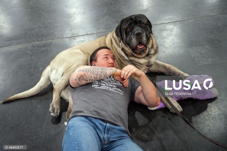 EUA: 150º Show Canino de Westminster Kennel  Club em Nova Iorque