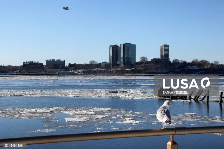 EUA: Gelo acumula-se no rio Hudson durante uma onda de frio em Nova Iorque