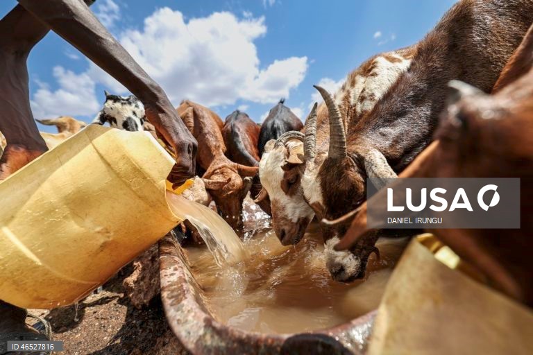 Quénia: Situação de seca no condado de Turkana