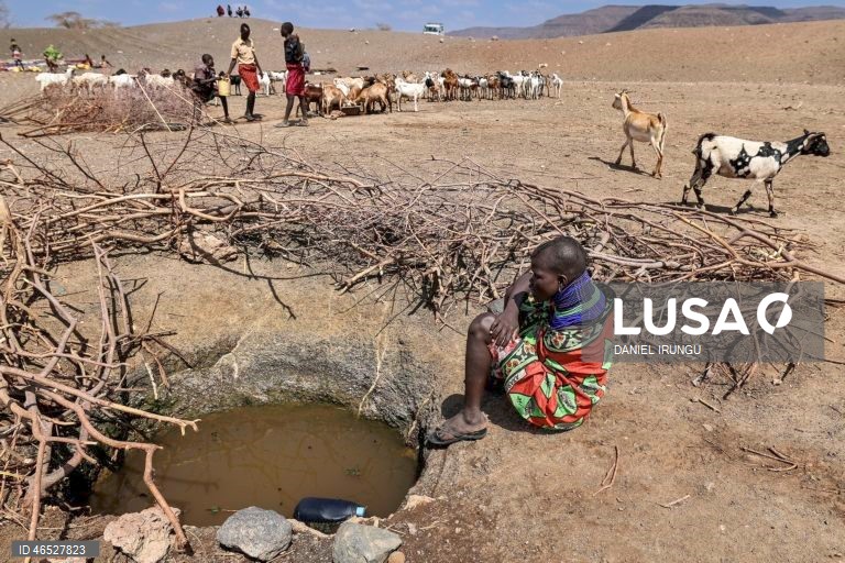 Quénia: Situação de seca no condado de Turkana