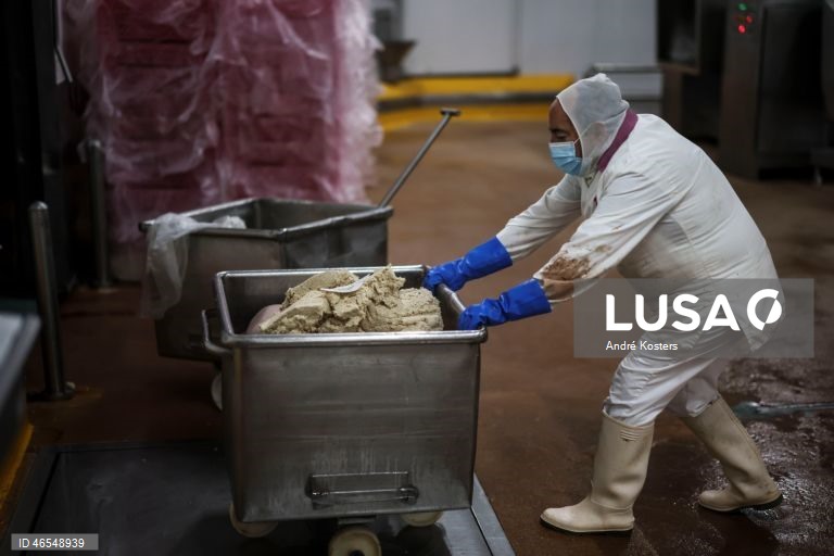 Processo de fabricação de salsichas na fábrica de Indústria e Comércio de Carnes, Sicasal, em Vila Franca do Rosário, Mafra.