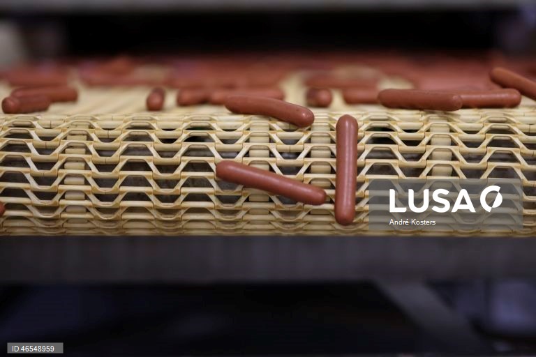 Processo de fabricação de salsichas na fábrica de Indústria e Comércio de Carnes, Sicasal, em Vila Franca do Rosário, Mafra.