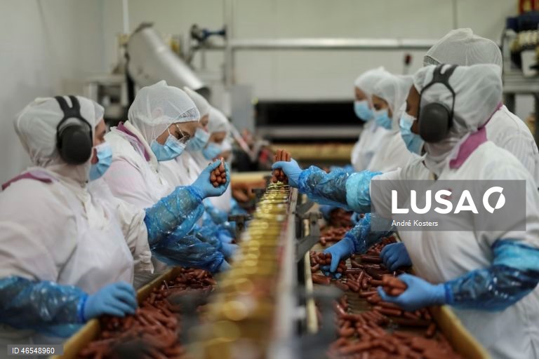 Processo de fabricação de salsichas na fábrica de Indústria e Comércio de Carnes, Sicasal, em Vila Franca do Rosário, Mafra.