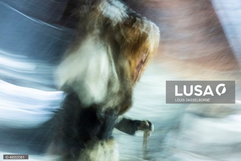 Suíça: Tradicional desfile de Carnaval no Vale de Loetschental