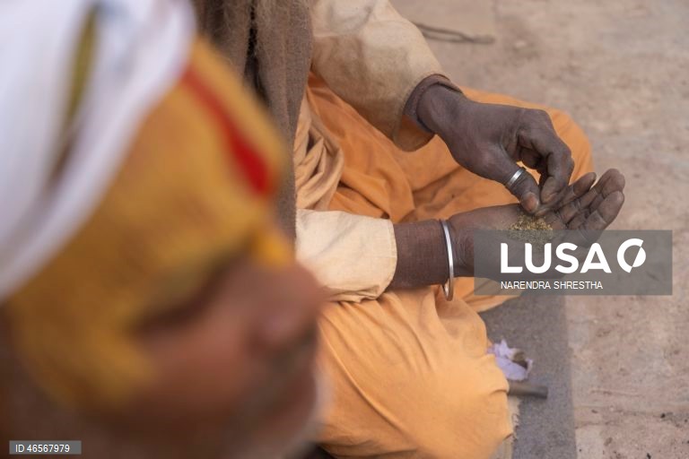 Festival Maha Shivaratri no Templo Pashupati em Katmandu, Nepal que é considerado um dos festivais mais auspiciosos para a comunidade hindu. Centenas de sadhus e peregrinos de todo o país e da vizinha Índia reúnem-se para celebrar o aniversário do deus Shiva, deus da criação e da destruição, oferecendo orações especiais e jejuando. A venda de maconha é ilegal no Nepal; no entanto, as autoridades ignoram a venda e o uso de maconha neste dia.