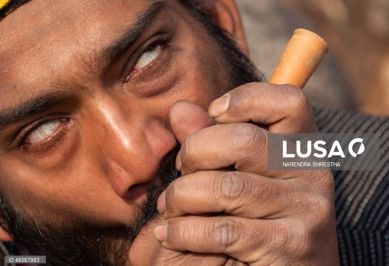 Festival Maha Shivaratri no Templo Pashupati em Katmandu, Nepal que é considerado um dos festivais mais auspiciosos para a comunidade hindu. Centenas de sadhus e peregrinos de todo o país e da vizinha Índia reúnem-se para celebrar o aniversário do deus Shiva, deus da criação e da destruição, oferecendo orações especiais e jejuando. A venda de maconha é ilegal no Nepal; no entanto, as autoridades ignoram a venda e o uso de maconha neste dia.