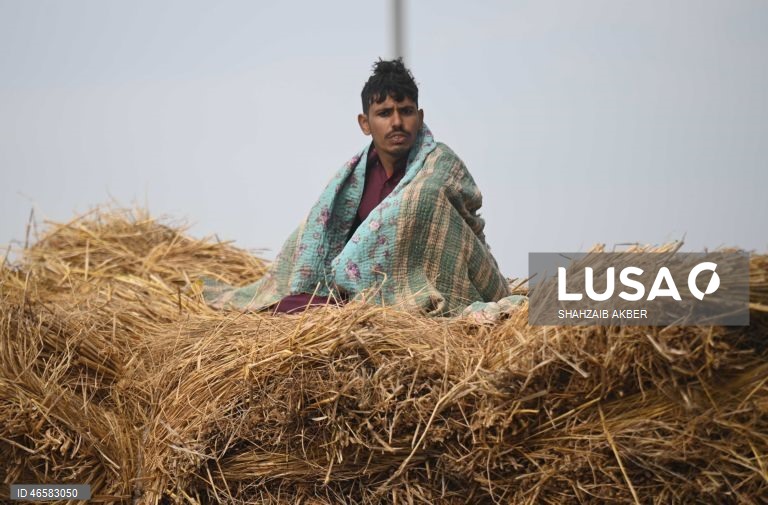Vida quotidiano no Paquistão