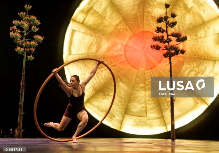 EUA: Ensaios do espetáculo LUZIA do Cirque du Soleil em Miami