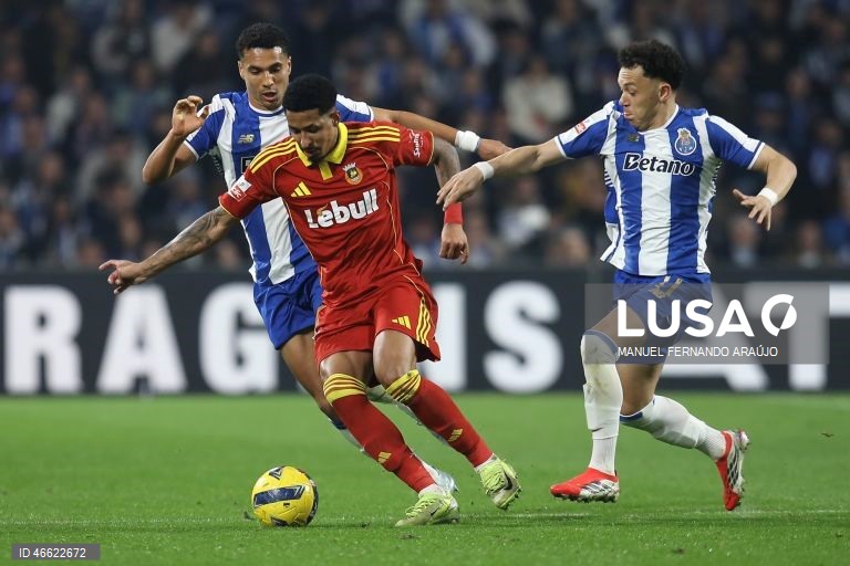 O líder FC Porto manteve hoje a vantagem de quatro pontos sobre o Sporting ao vencer em casa o Rio Ave, por 1-0, com um golo de Froholdt, em jogo da 23.ª jornada da I Liga de futebol.