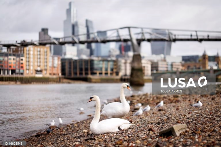 Inglaterra: Quotidiano em Londres