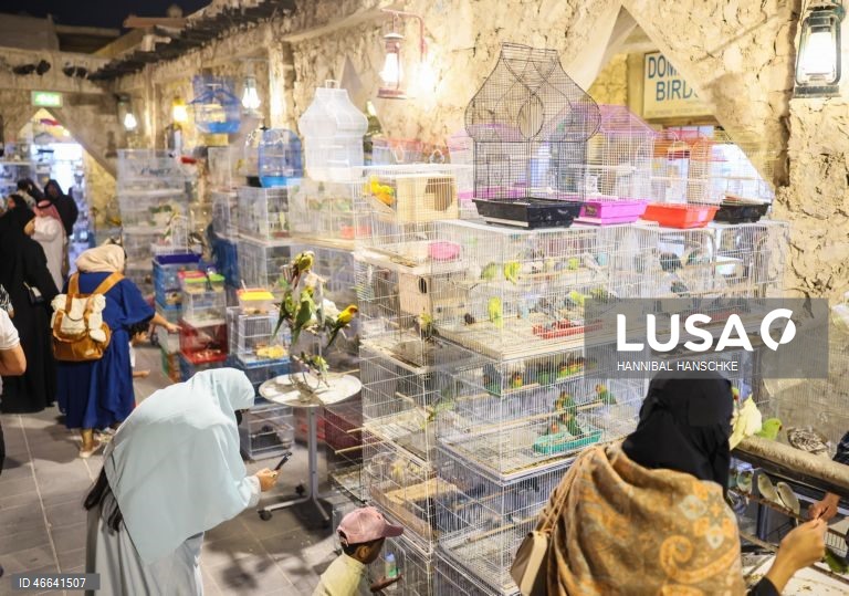 Qatar: Mercado de aves no mercado Souq Waqif, em Doha