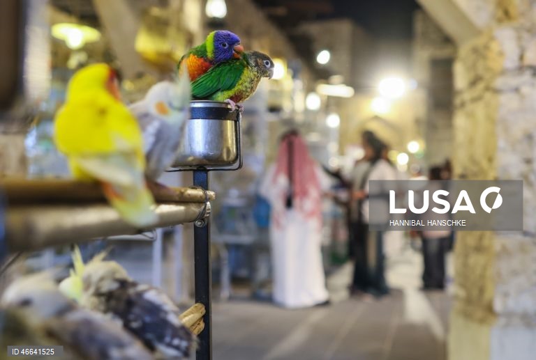 Qatar: Mercado de aves no mercado Souq Waqif, em Doha